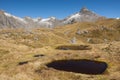 A scenic view of the Mountain in New Zealand - Mackinnon pass Ã¢â¬â Milford track